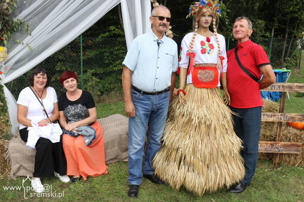 Dożynki w Ostrowiecznie