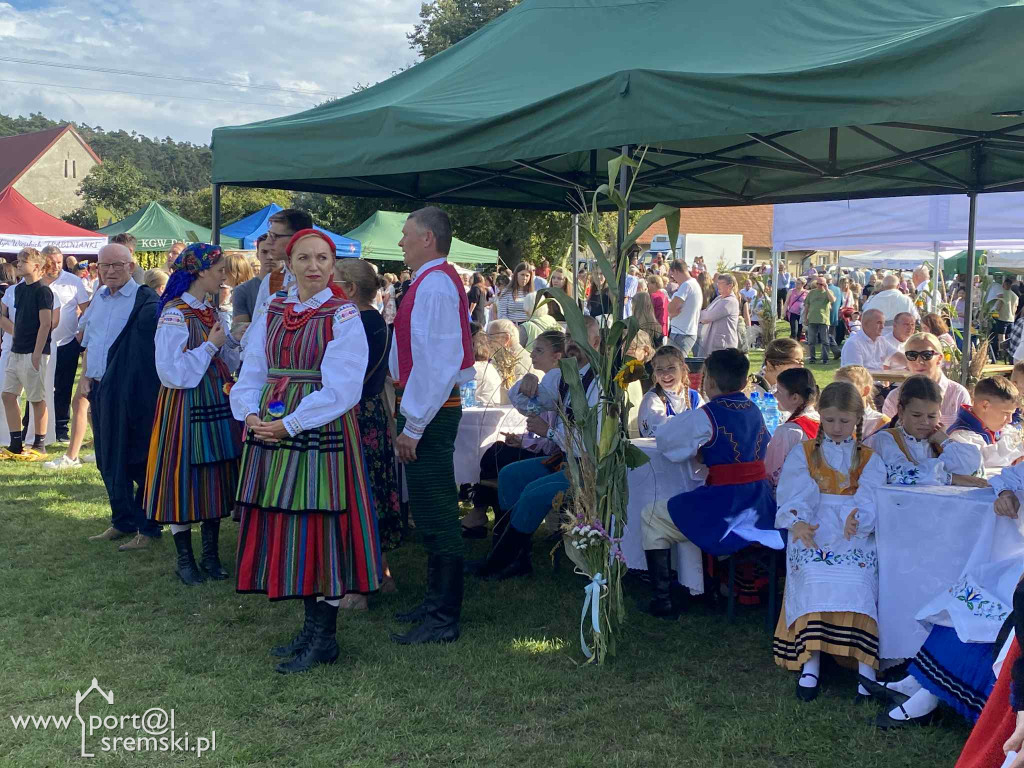 Dożynki w Ostrowiecznie