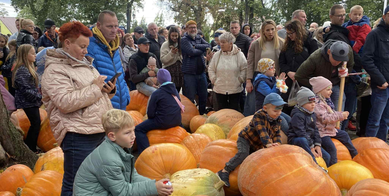 Święto dyni w Grzybnie