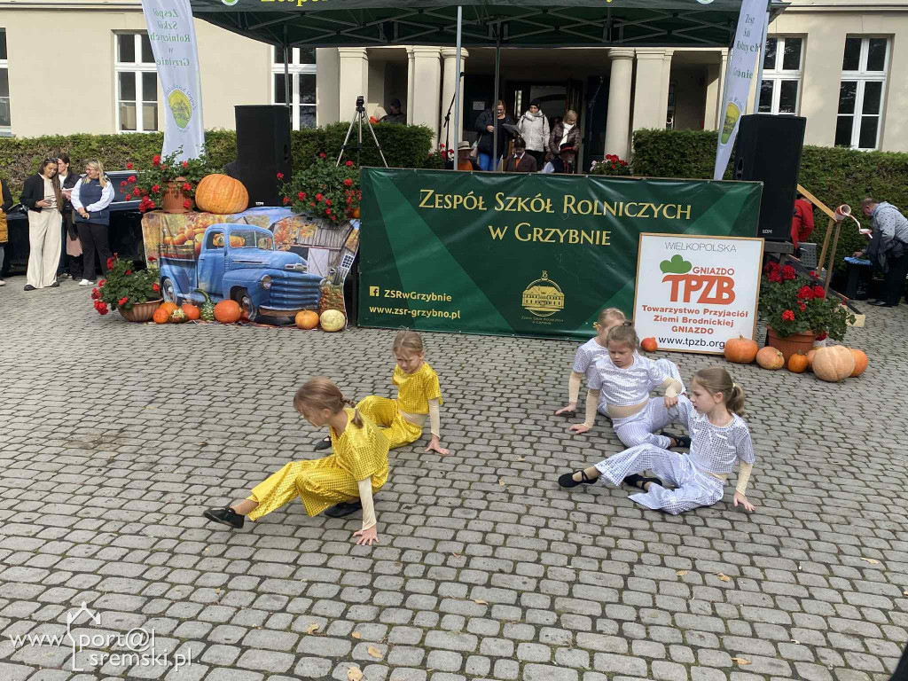 Święto dyni w Grzybnie