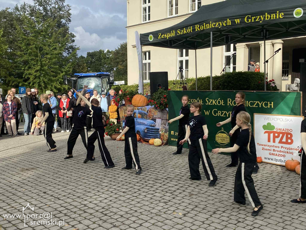 Święto dyni w Grzybnie