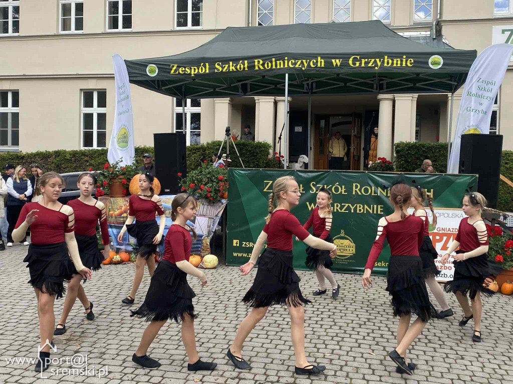 Święto dyni w Grzybnie