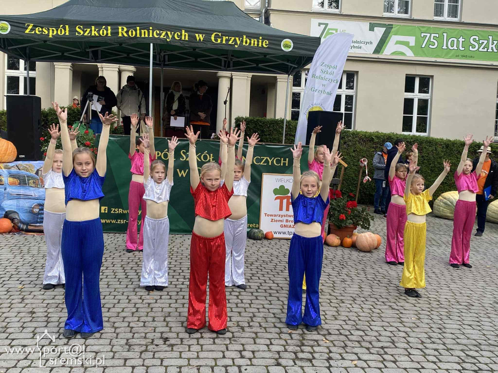 Święto dyni w Grzybnie