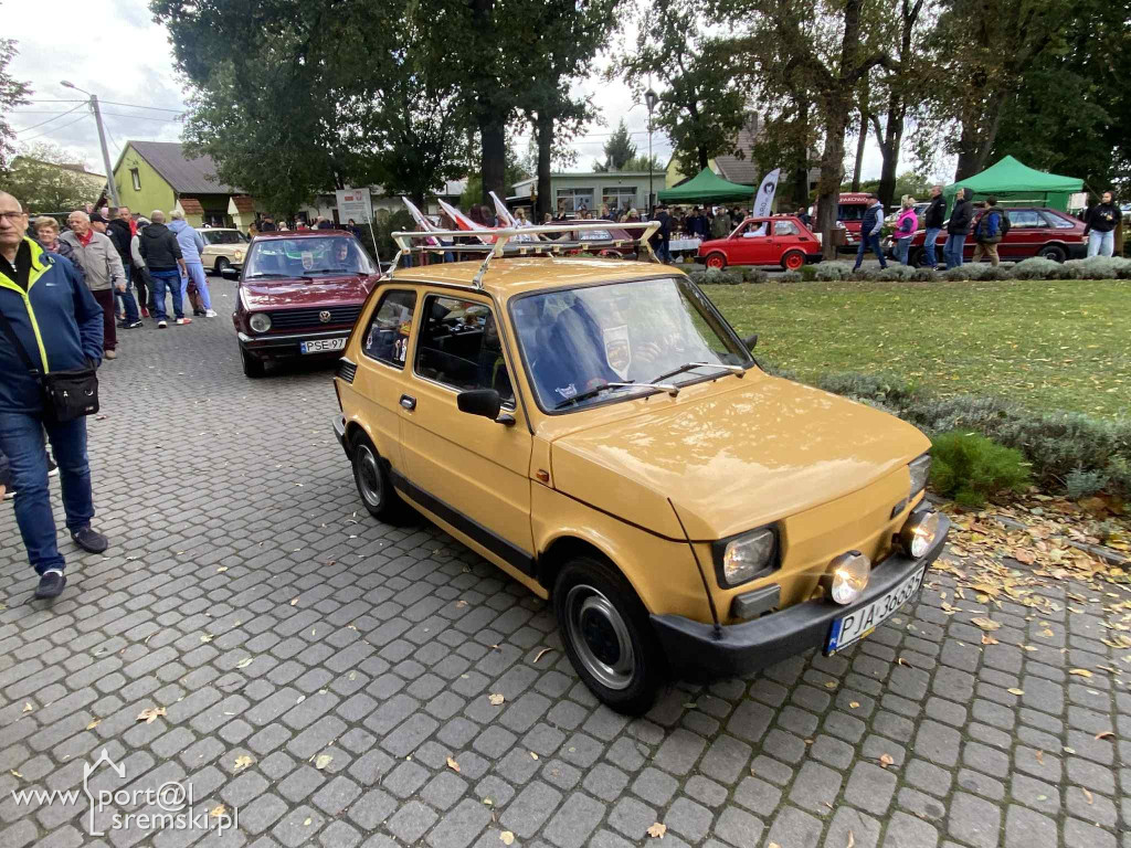 Święto dyni w Grzybnie