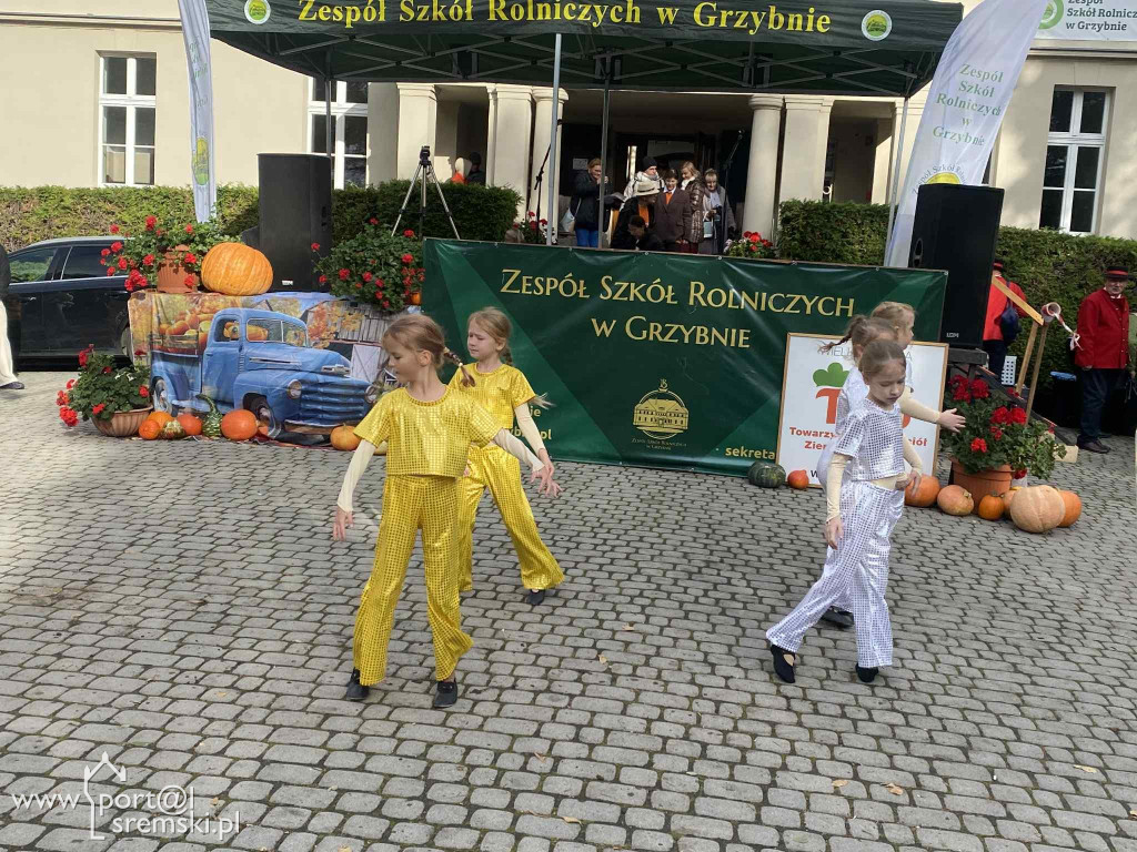 Święto dyni w Grzybnie