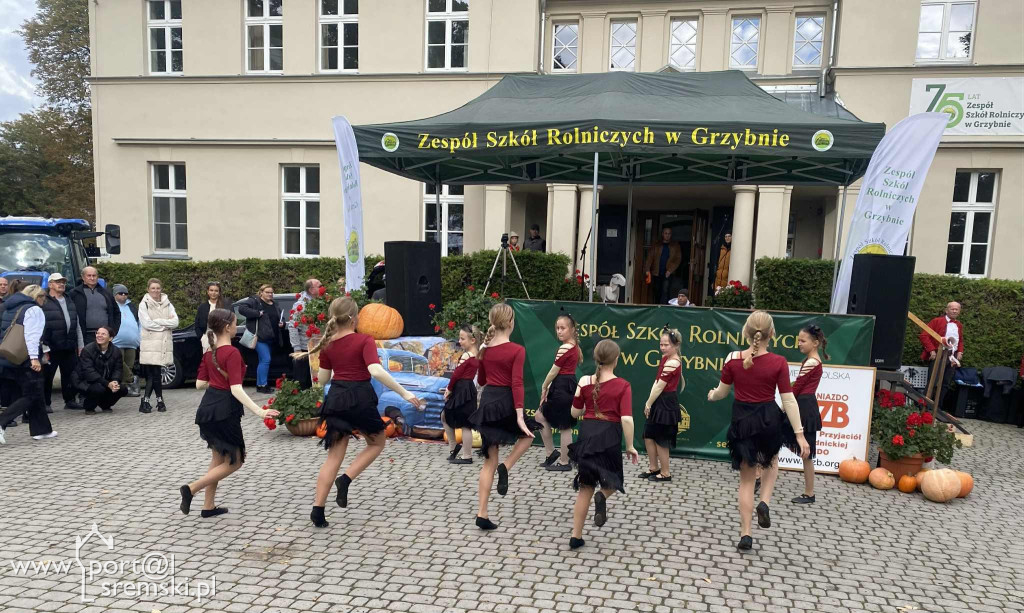 Święto dyni w Grzybnie