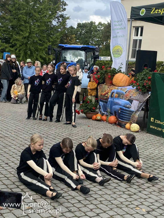 Święto dyni w Grzybnie