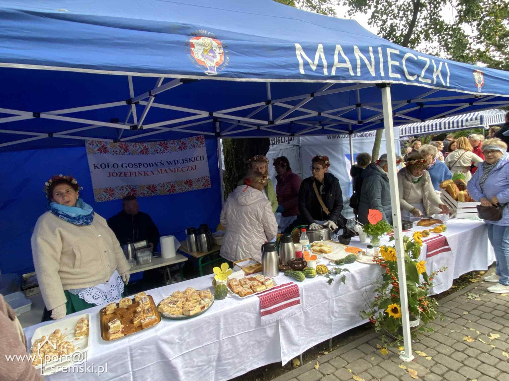 Święto dyni w Grzybnie