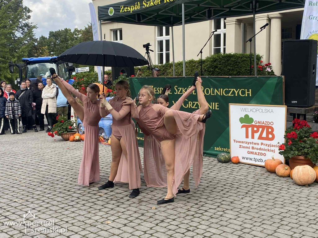 Święto dyni w Grzybnie