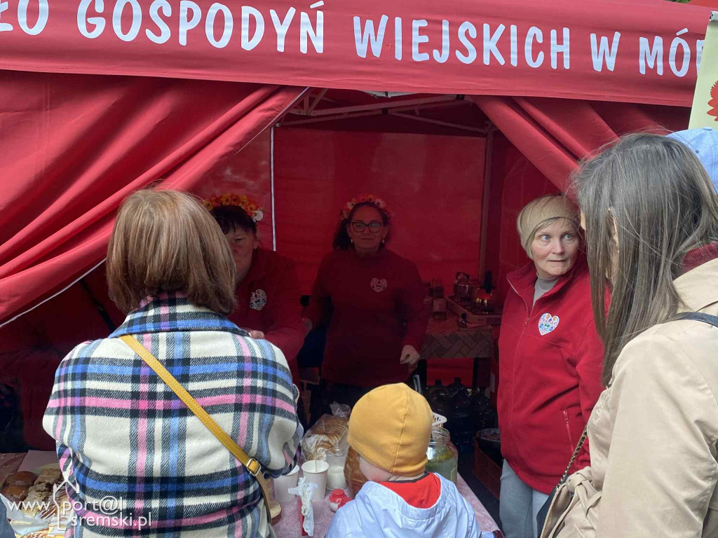 Święto dyni w Grzybnie