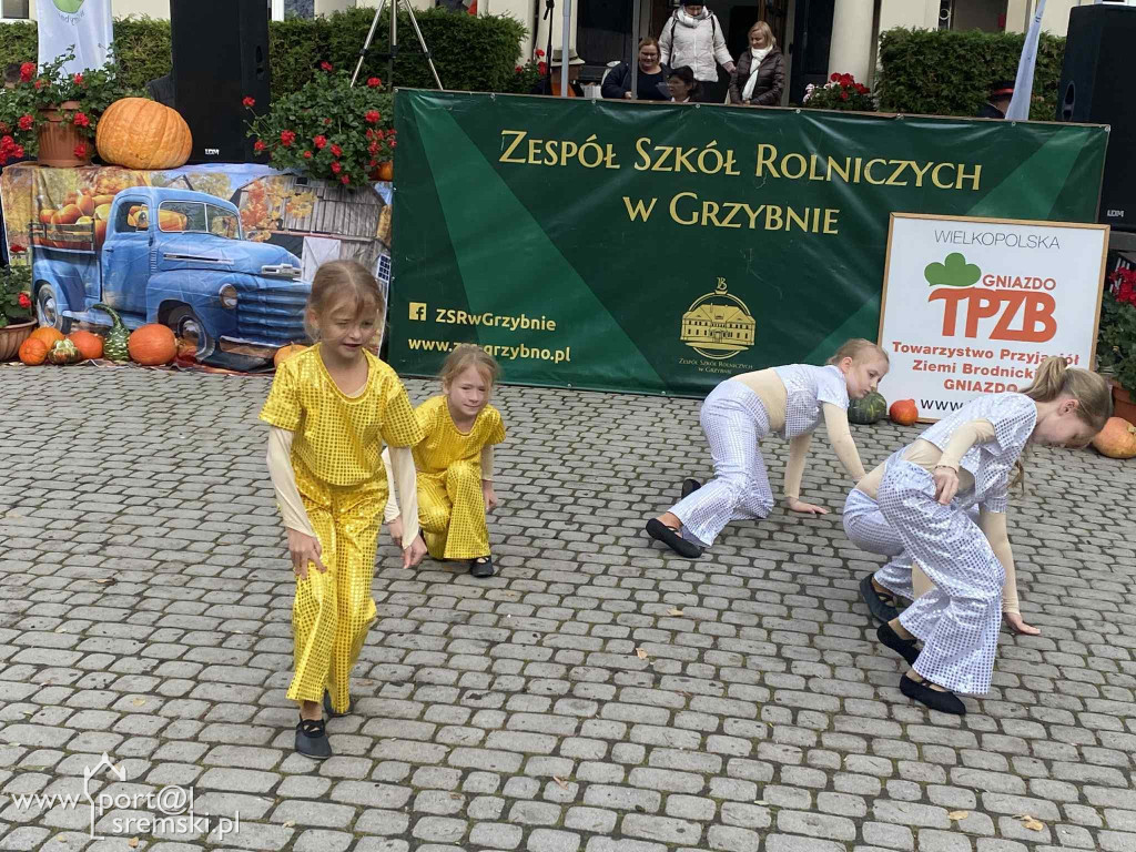 Święto dyni w Grzybnie