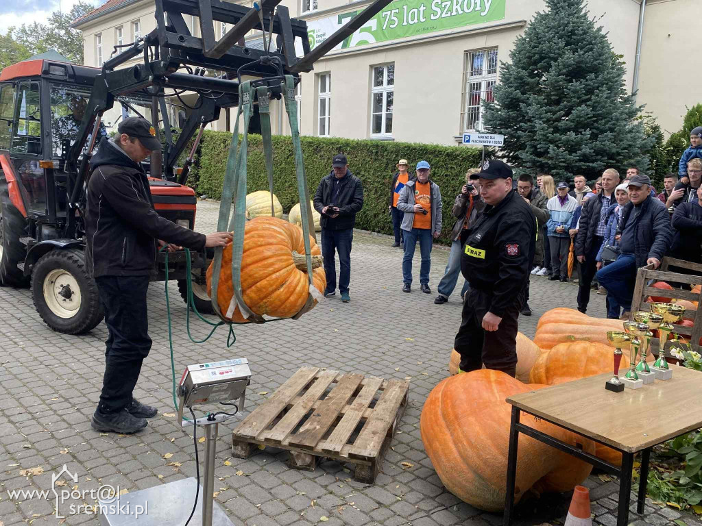 Święto dyni w Grzybnie