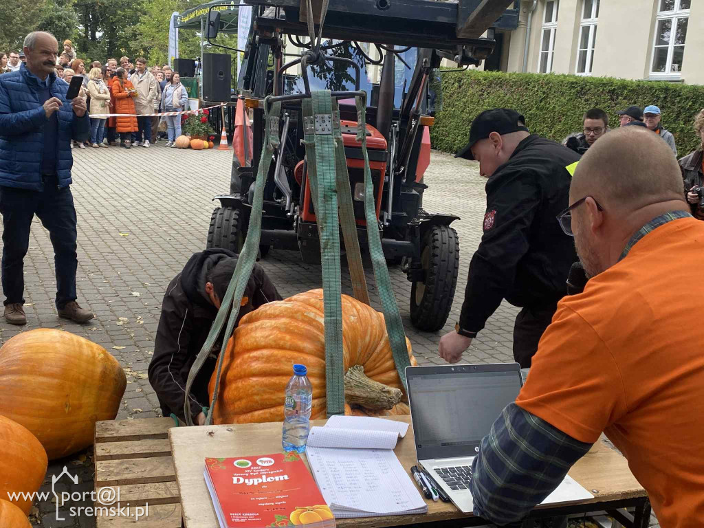 Święto dyni w Grzybnie