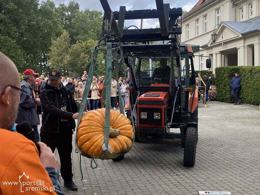Święto dyni w Grzybnie