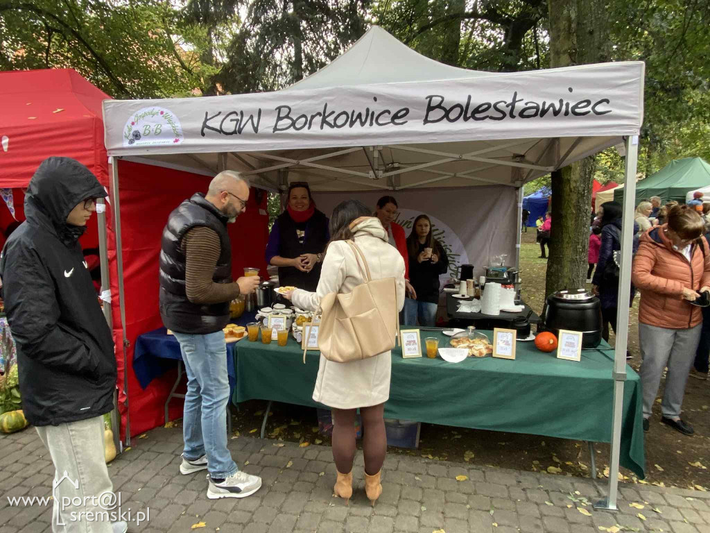 Święto dyni w Grzybnie