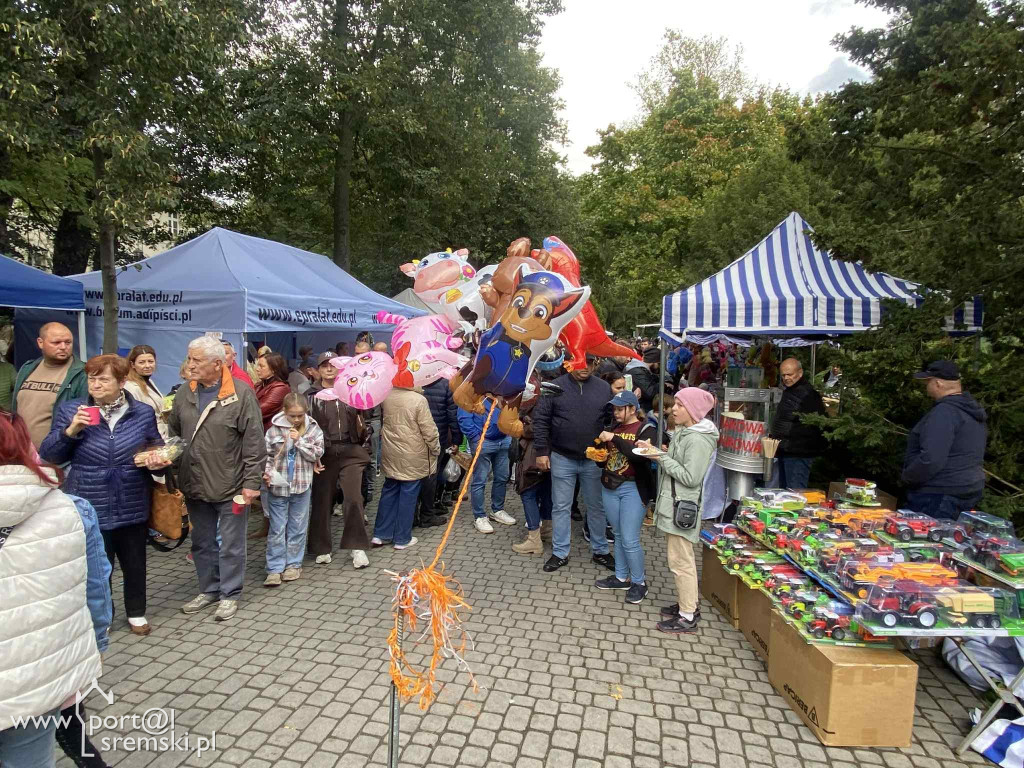 Święto dyni w Grzybnie