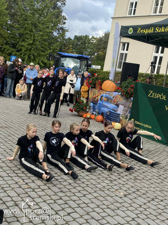 Święto dyni w Grzybnie