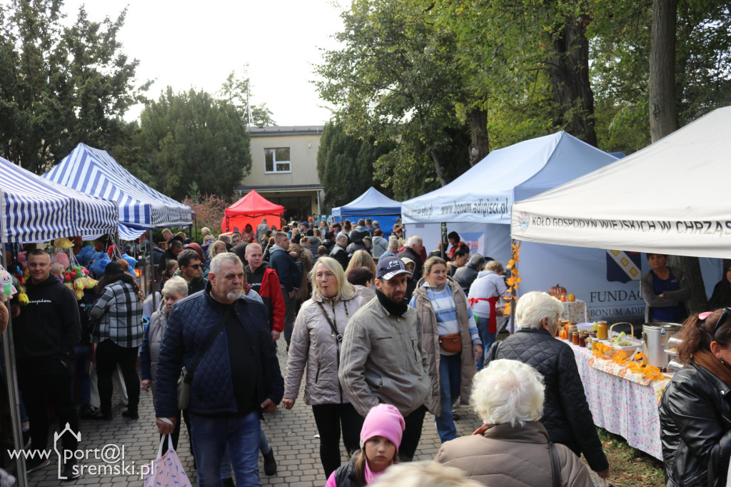 Święto dyni w Grzybnie