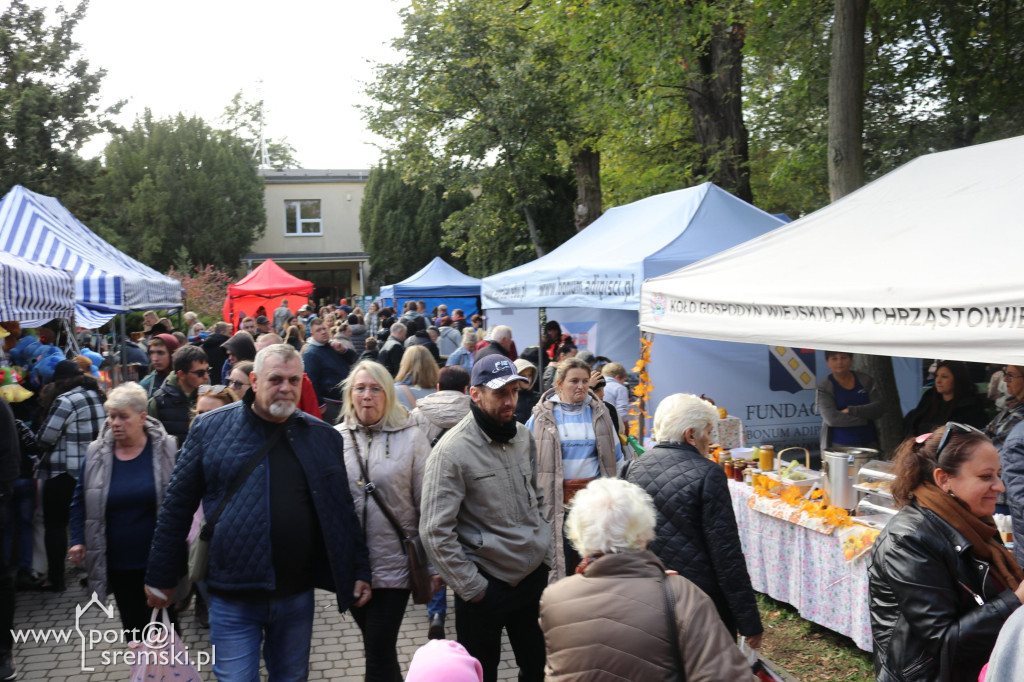 Święto dyni w Grzybnie