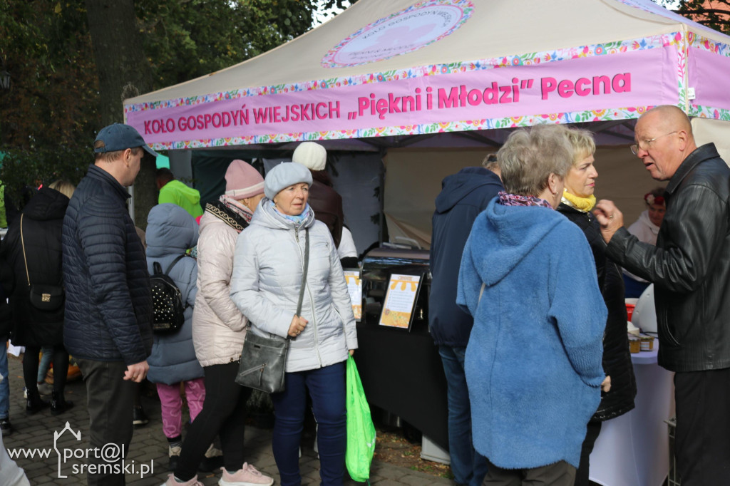 Święto dyni w Grzybnie