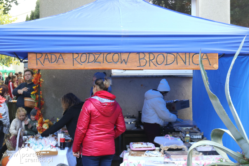 Święto dyni w Grzybnie