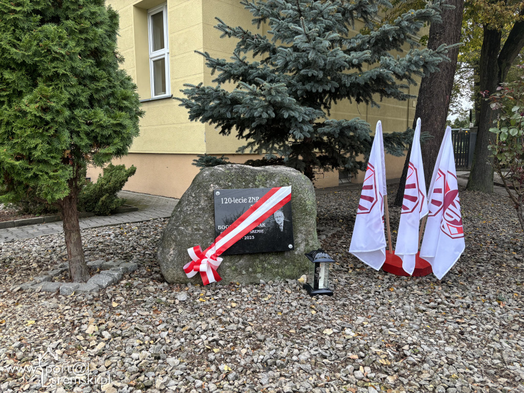 Odsłonięcie tablicy ZNP w Śremie