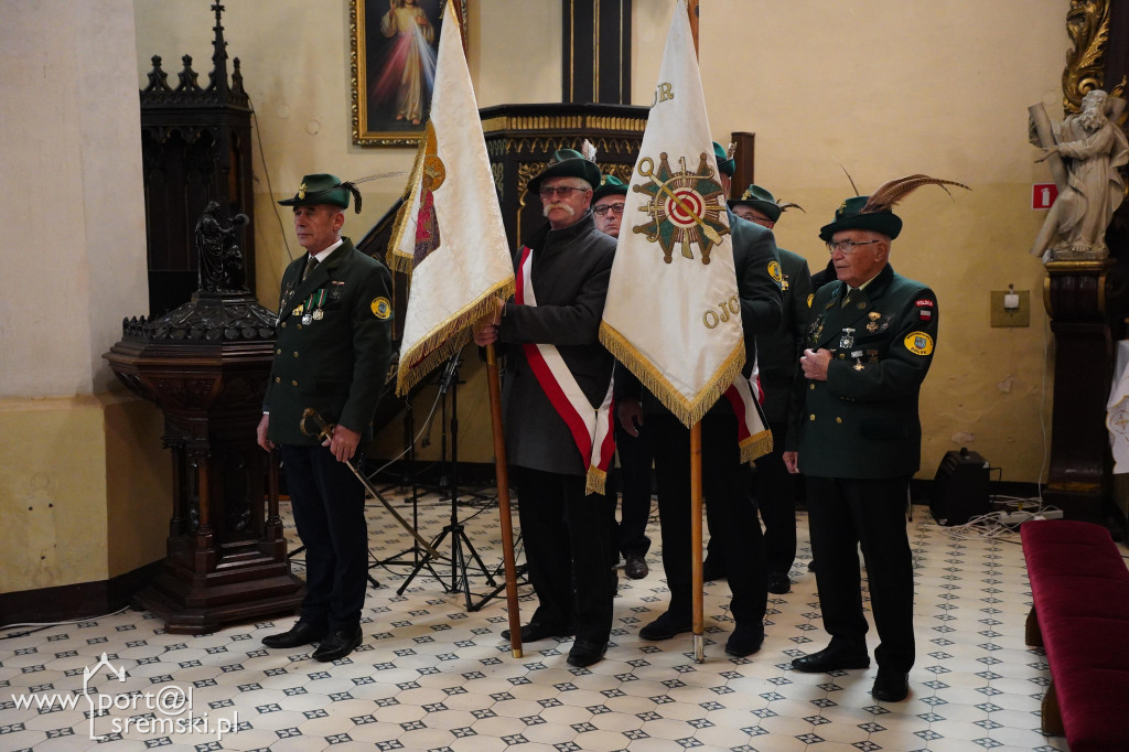 11 listopada w Dolsku