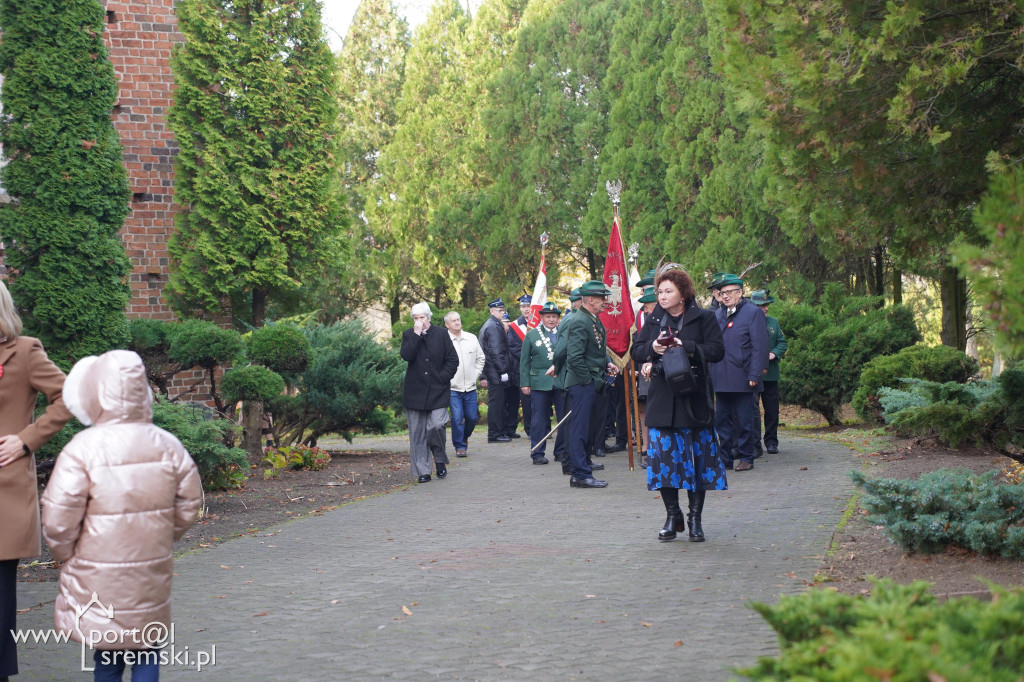 11 listopada w Dolsku