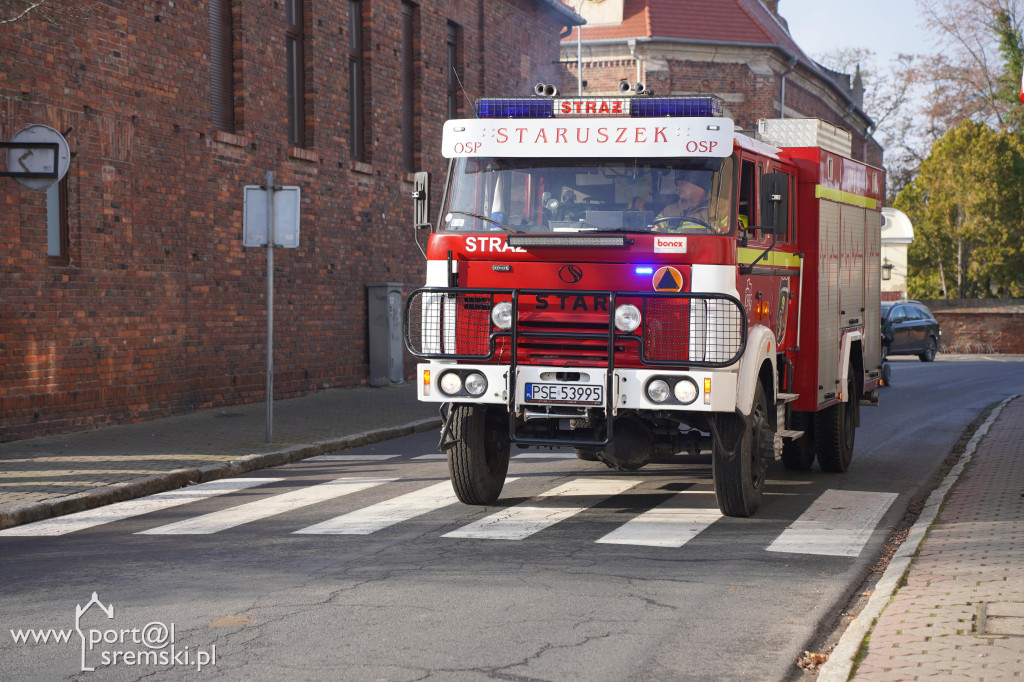 11 listopada w Dolsku