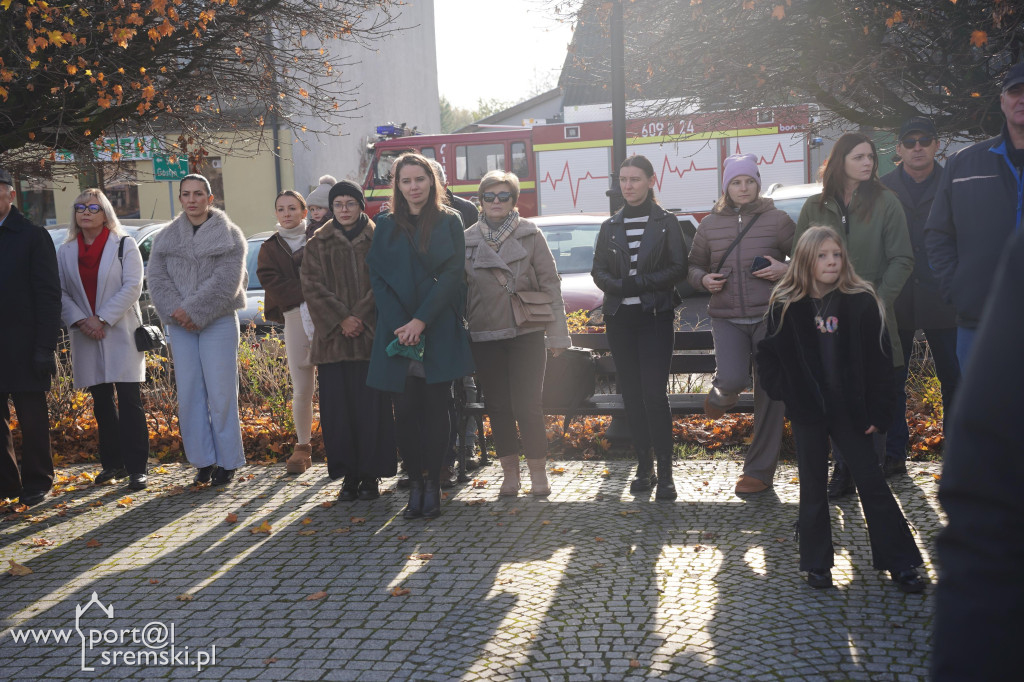 11 listopada w Dolsku