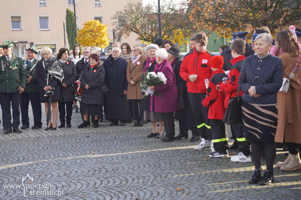 11 listopada w Dolsku