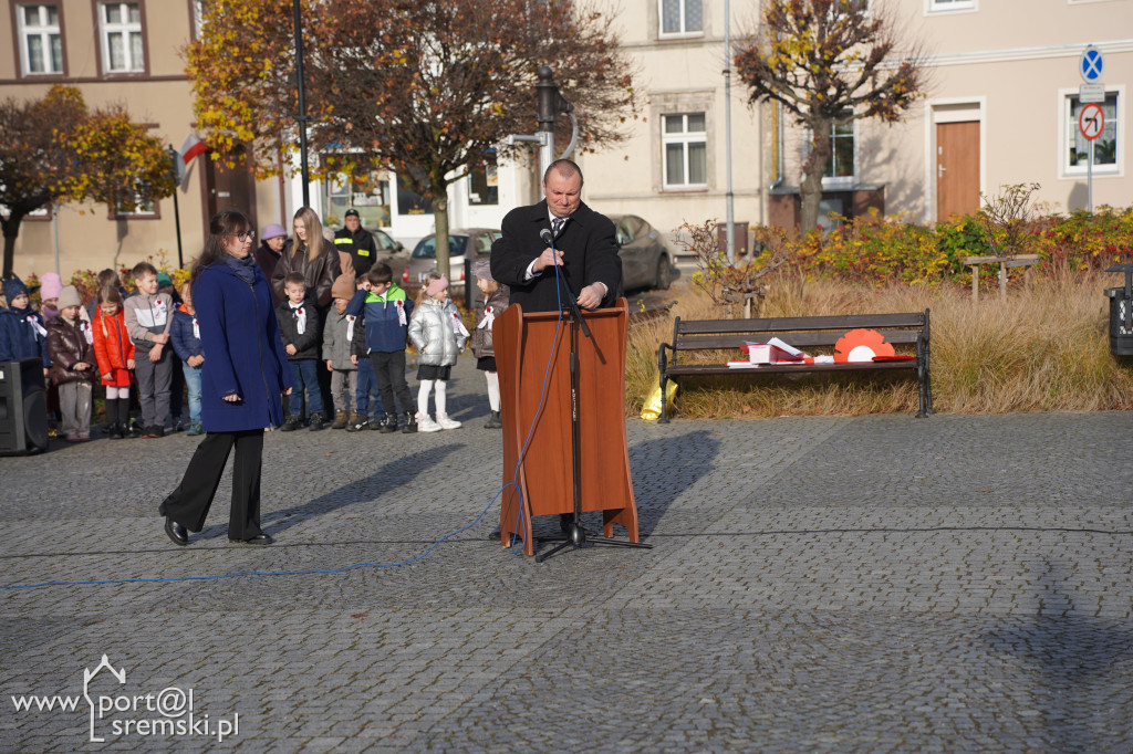 11 listopada w Dolsku