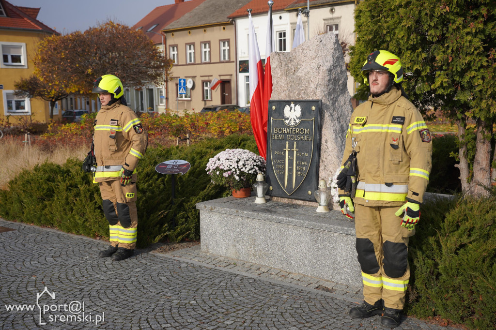 11 listopada w Dolsku