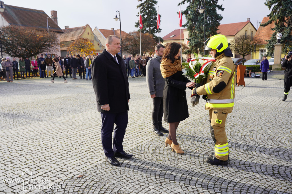 11 listopada w Dolsku