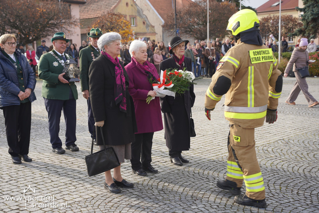 11 listopada w Dolsku