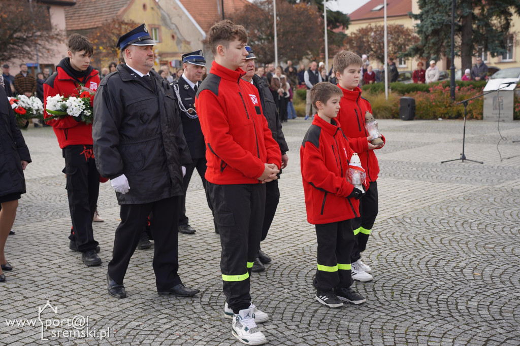 11 listopada w Dolsku