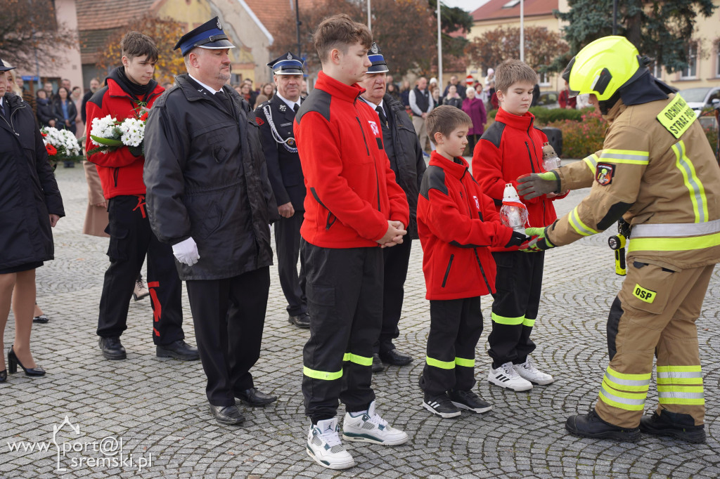 11 listopada w Dolsku