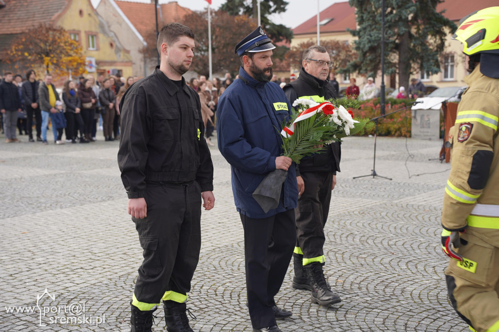 11 listopada w Dolsku