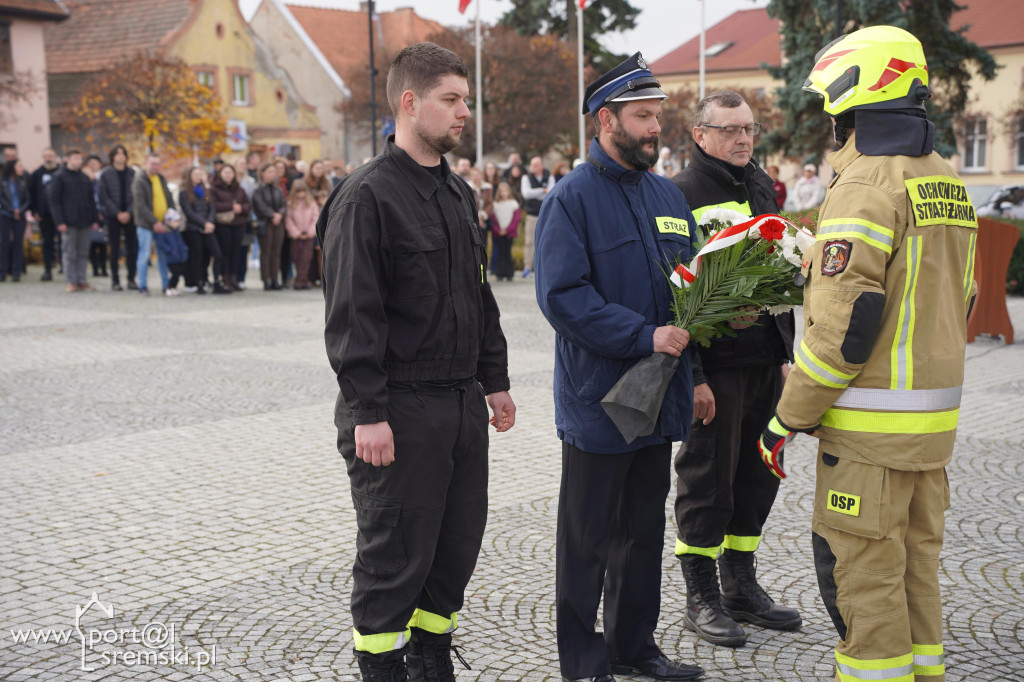 11 listopada w Dolsku