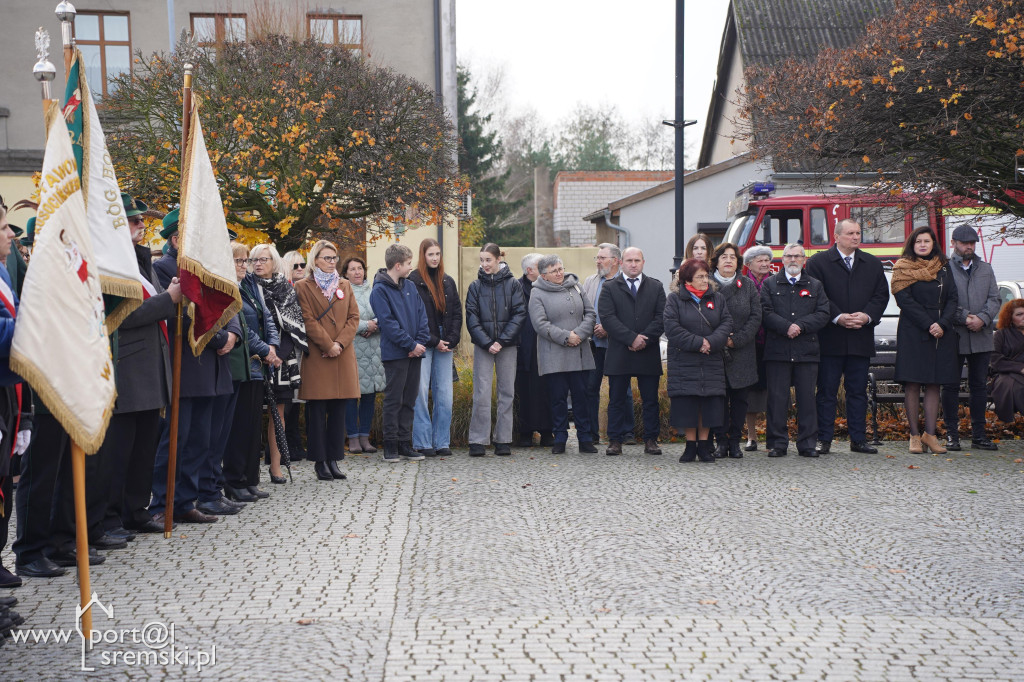 11 listopada w Dolsku