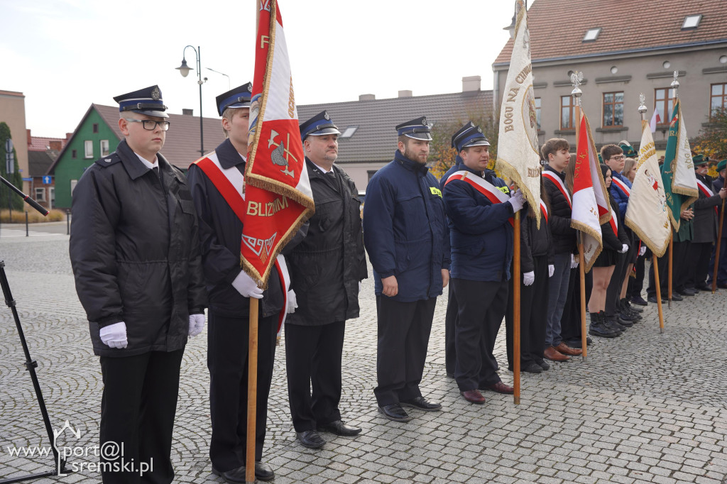 11 listopada w Dolsku