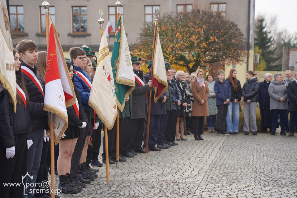 11 listopada w Dolsku