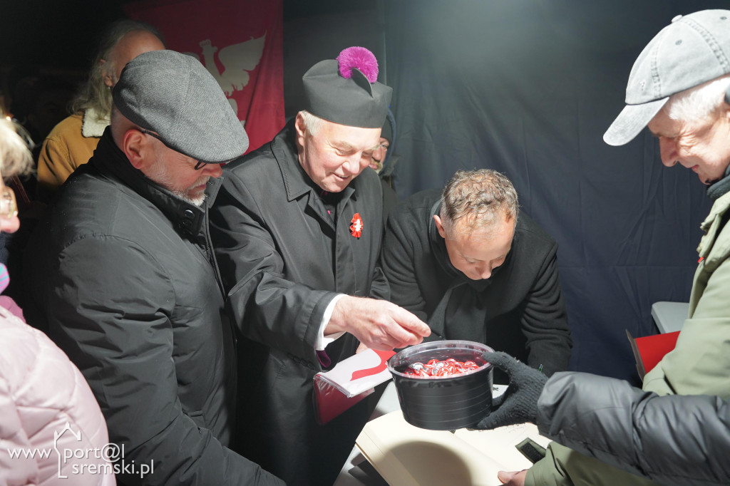 Jubileusz 100- lecia odsłonięcia Pomnika Powstańców i Wolności