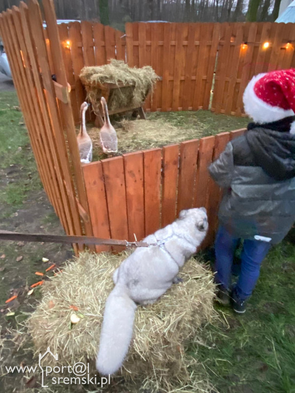 Kiermasz w Książu Wlkp.