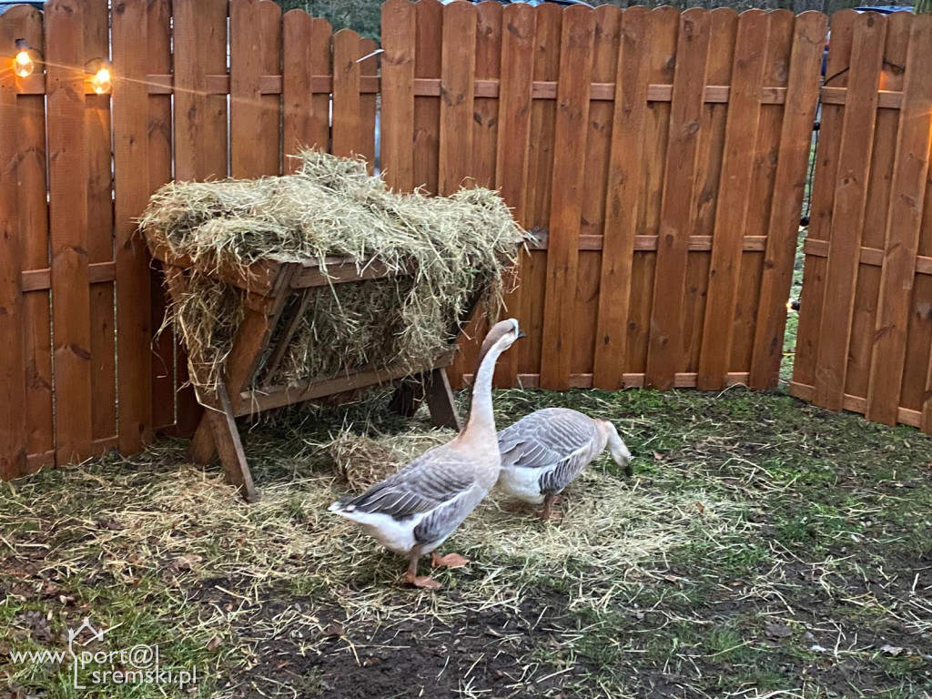 Kiermasz w Książu Wlkp.