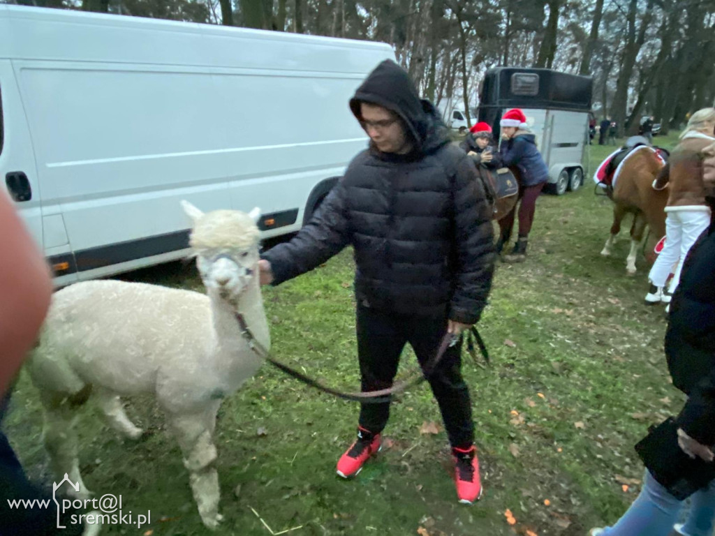 Kiermasz w Książu Wlkp.