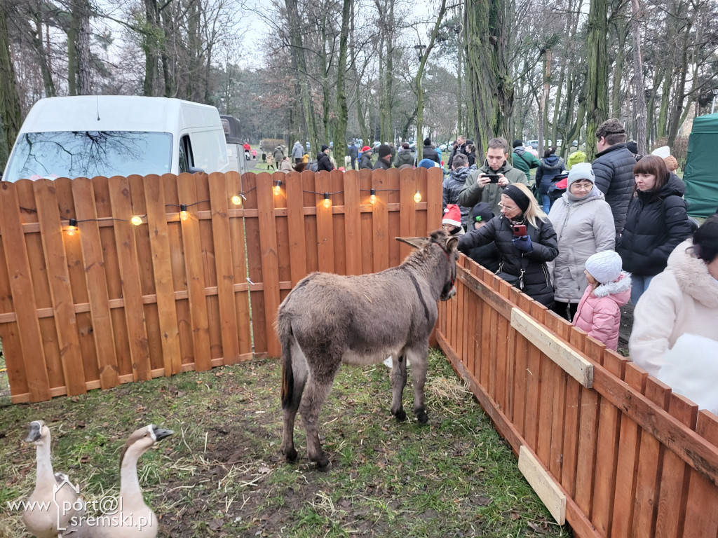 Kiermasz w Książu Wlkp.