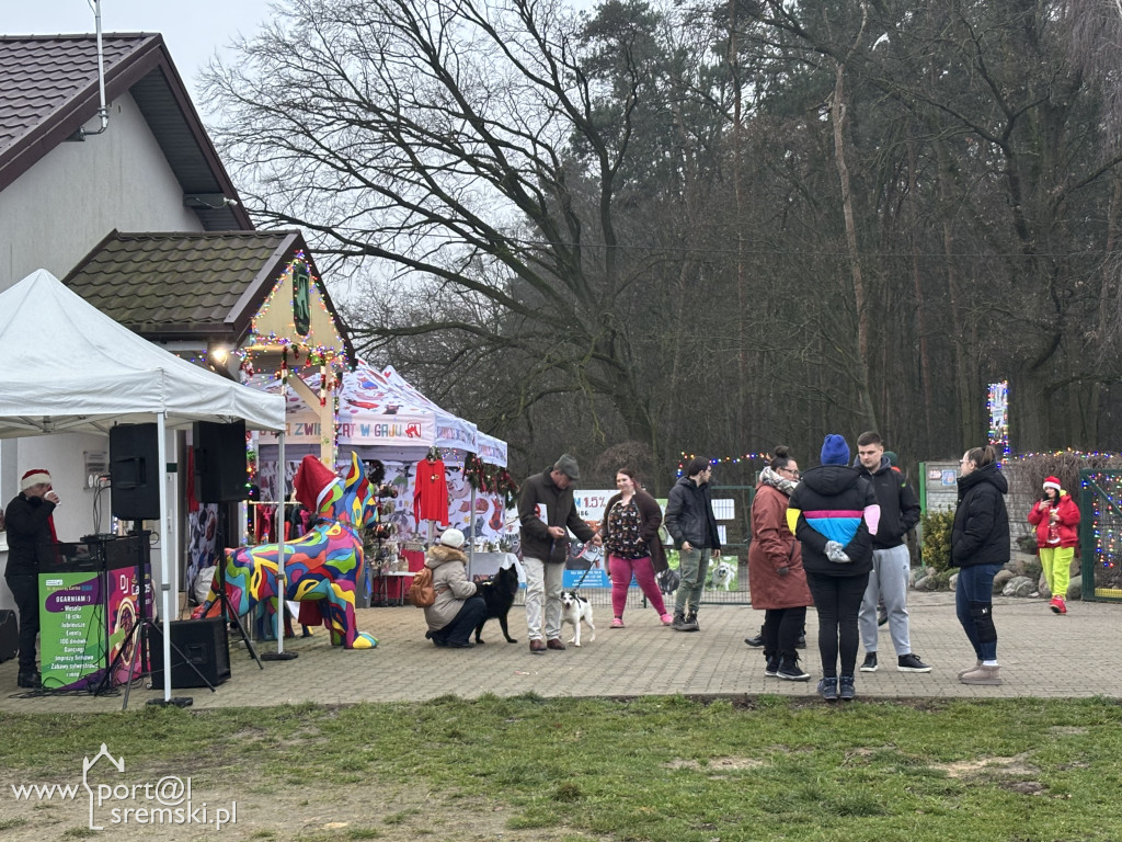 Kiermasz świąteczny w Schronisku w Gaju