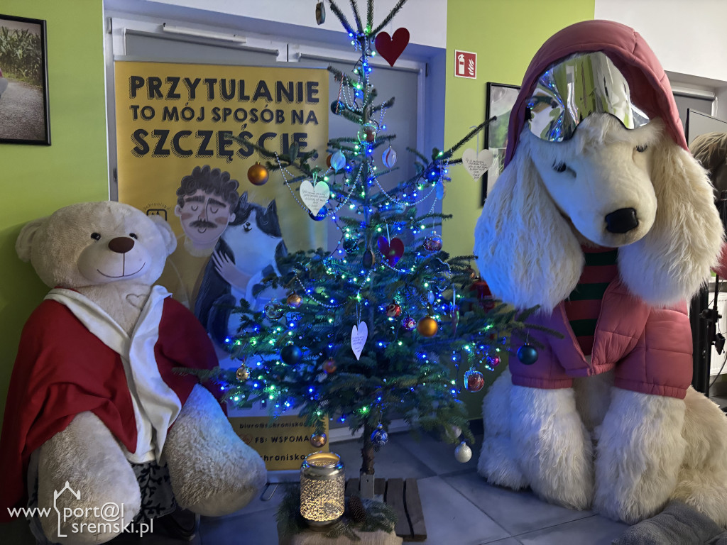 Kiermasz świąteczny w Schronisku w Gaju