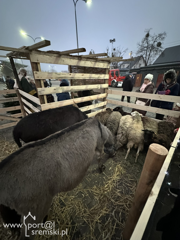 Koncert Świąteczny 2025